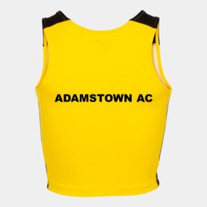 Adamstown AC